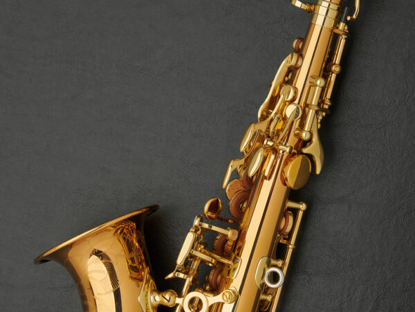 Yanagisawa 992C Bronze Curved Soprano Saxophone #00362309 - Image 22