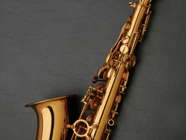 Lake City Winds Alto Saxophone #00058 - Image 22