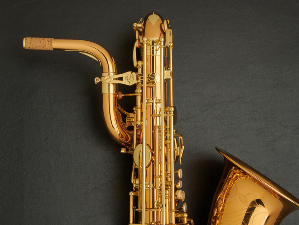 Yanagisawa BW02 Bronze Baritone Saxophone #00407226 - Image 10