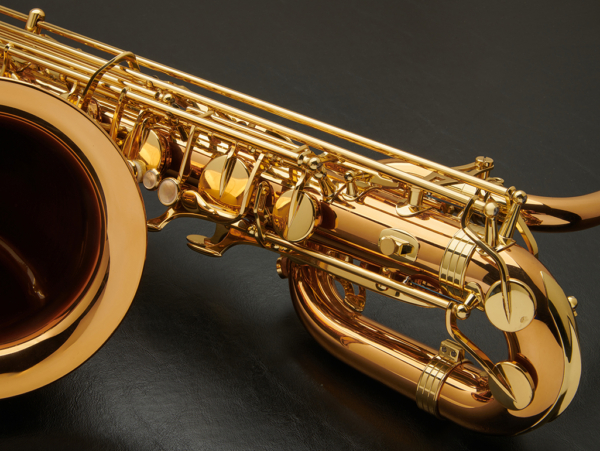 Yanagisawa BW02 Bronze Baritone Saxophone #00407226 - Image 16