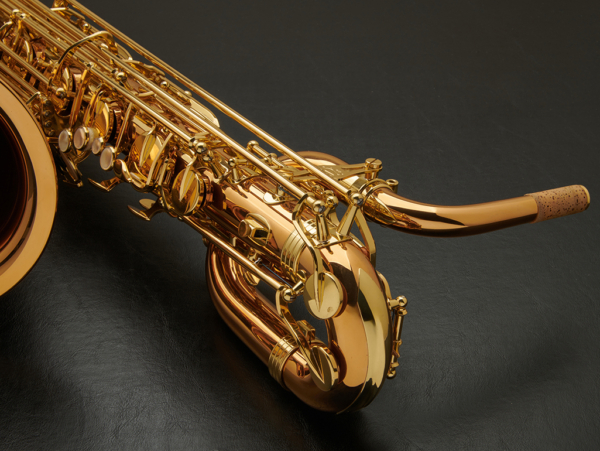 Yanagisawa BW02 Bronze Baritone Saxophone #00407226 - Image 17