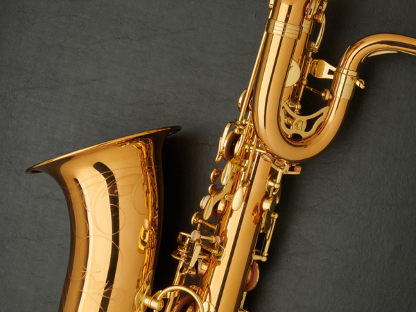 Yanagisawa BW02 Bronze Baritone Saxophone #00407226 - Image 26