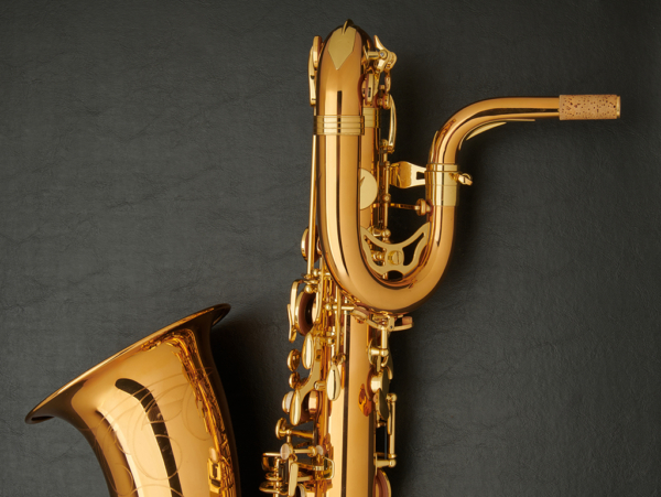 Yanagisawa BW02 Bronze Baritone Saxophone #00407226 - Image 27