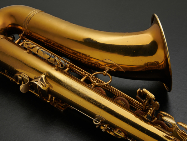 Selmer Mark VI Tenor Saxophone #108381 - Image 19