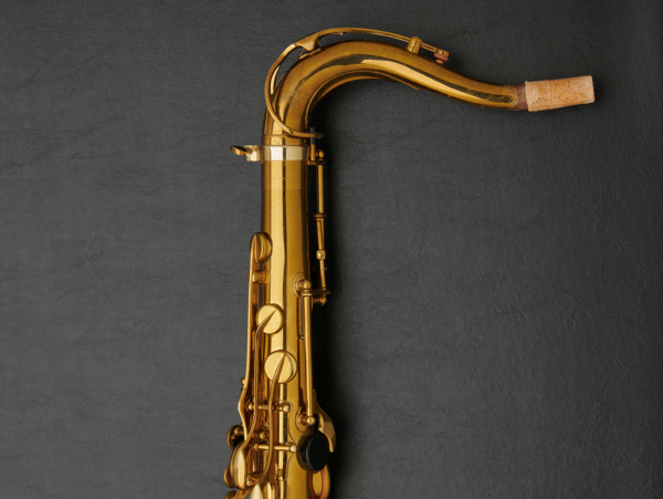 Selmer Mark VI Tenor Saxophone #108381 - Image 23