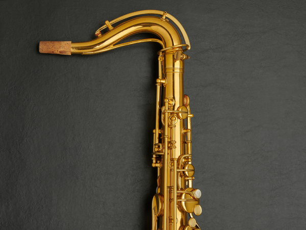 Conn New Wonder II "Chu Berry" Portrait Model Relacquered Alto Saxophone #172341 - Image 8