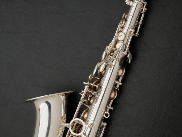 Selmer Super Action 80 Series II Silver-Plated Alto Saxophone #453187 - Image 22