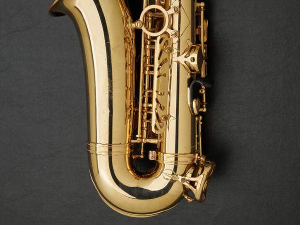 Selmer Super Action 80 Series II Alto Saxophone #486037 - Image 17