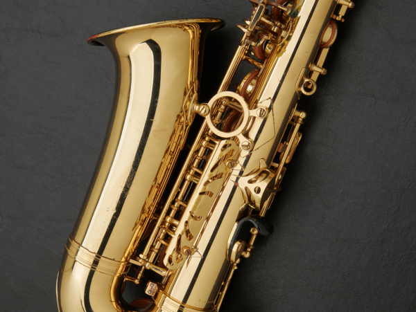 Selmer Super Action 80 Series II Alto Saxophone #486037 - Image 21