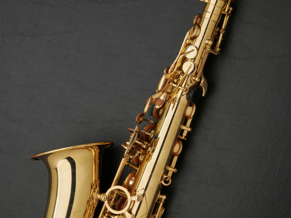 Selmer Super Action 80 Series II Alto Saxophone #486037 - Image 22