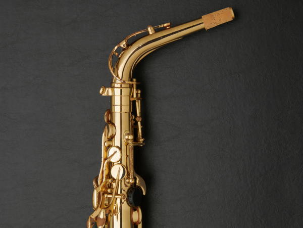 Selmer Super Action 80 Series II Alto Saxophone #486037 - Image 23