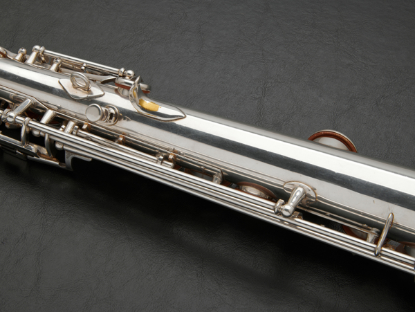 Selmer Mark VI Silver-Plated Soprano Saxophone #97646 - Image 16