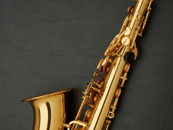 Yamaha YAS-580AL Alto Saxophone #Q87100 - Image 21