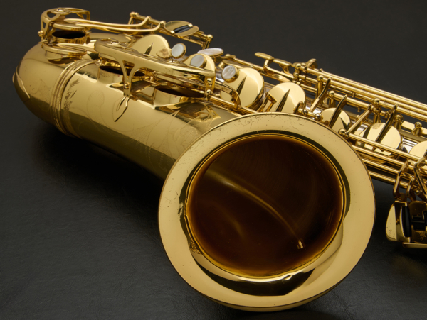 Yanagisawa 9930 Silver Neck and Body Tenor Saxophone #00317884 - Image 12