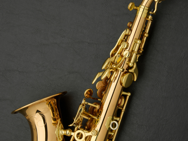 Yanagisawa SW020 Bronze Curved Soprano Saxophone #00401785 - Image 22