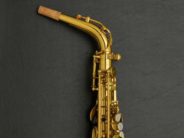 Selmer Mark VI Alto Saxophone #218732 - Image 16