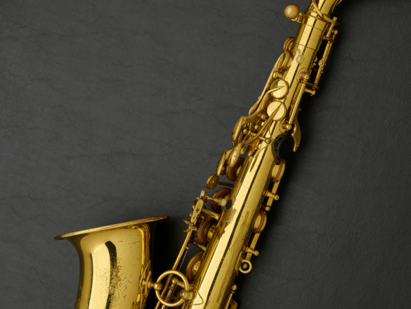 Selmer Mark VI Alto Saxophone #218732 - Image 23