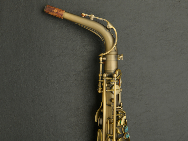 P. Mauriat PMXA-67R Alto Saxophone #PM1211211 - Image 16