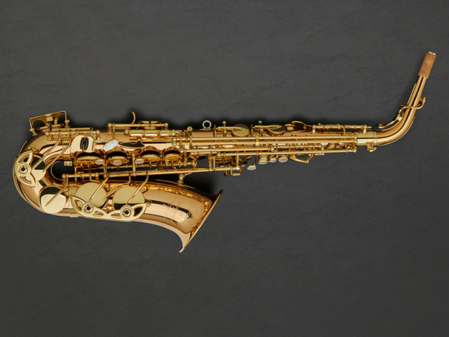 Yanagisawa AWO20 Bronze Alto Saxophone #00394571