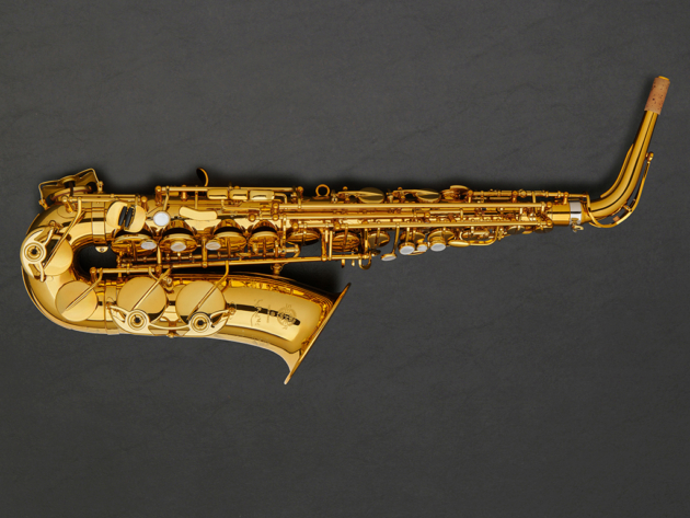 Selmer Supreme Alto Saxophone #845723